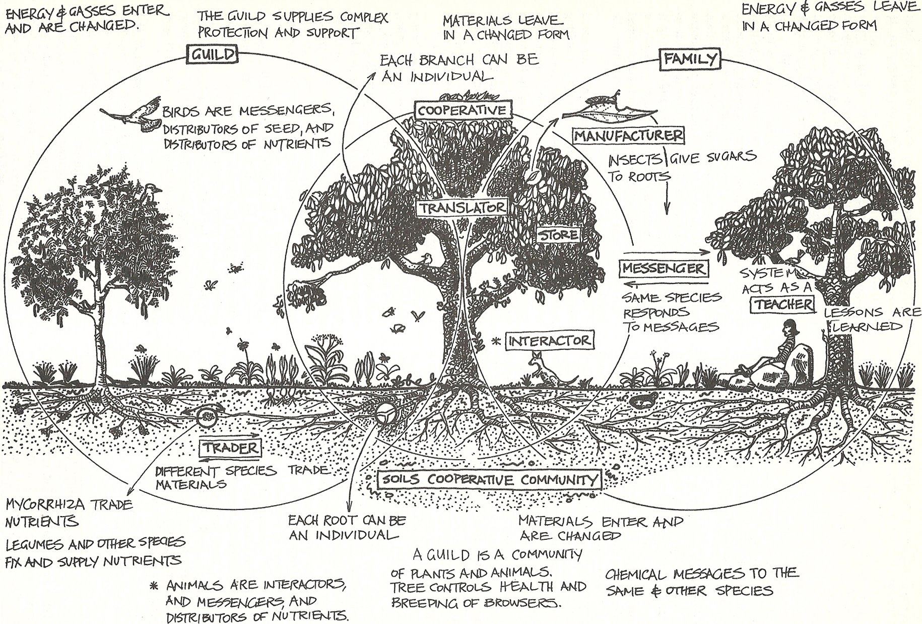 Permaculture